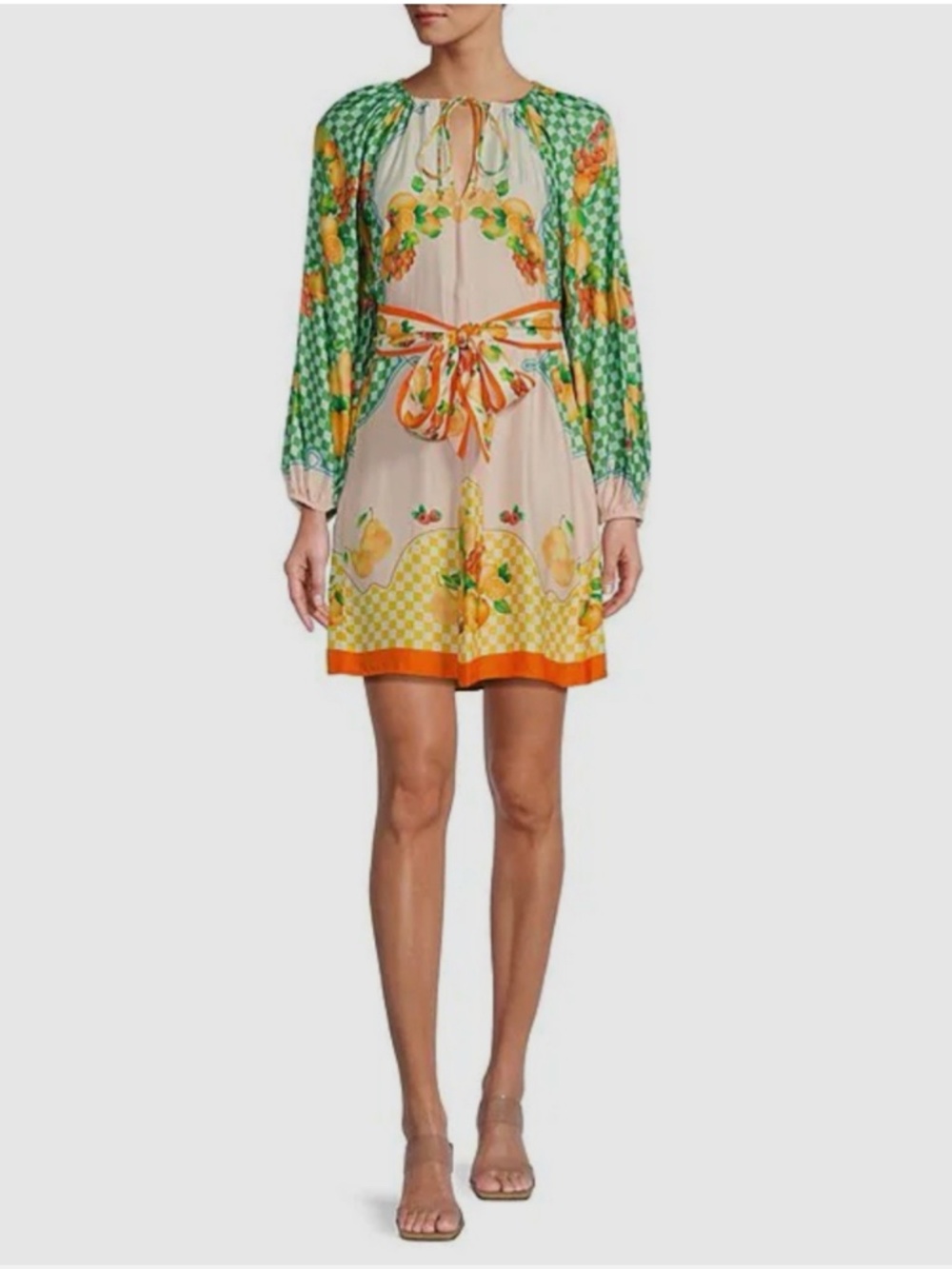 Antonio Melani Raffaella Fruit Print Resort Long Sleeve A-Line Mini Dress - Picture 1 of 9